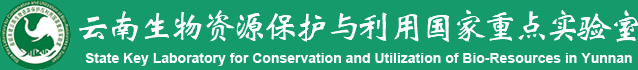 cba博彩